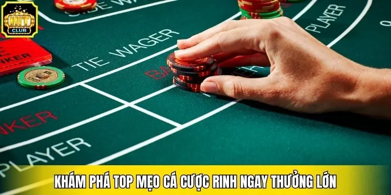 Khám phá top mẹo cá cược rinh ngay thưởng lớn