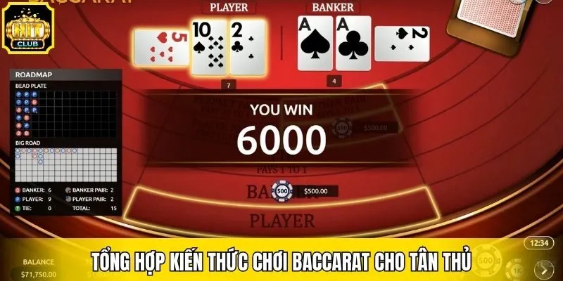 Tổng hợp kiến thức chơi Baccarat cho tân thủ